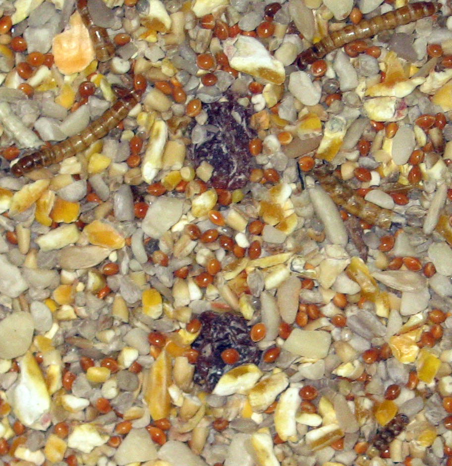 Colonels Robin and Songbird Wild Bird Food